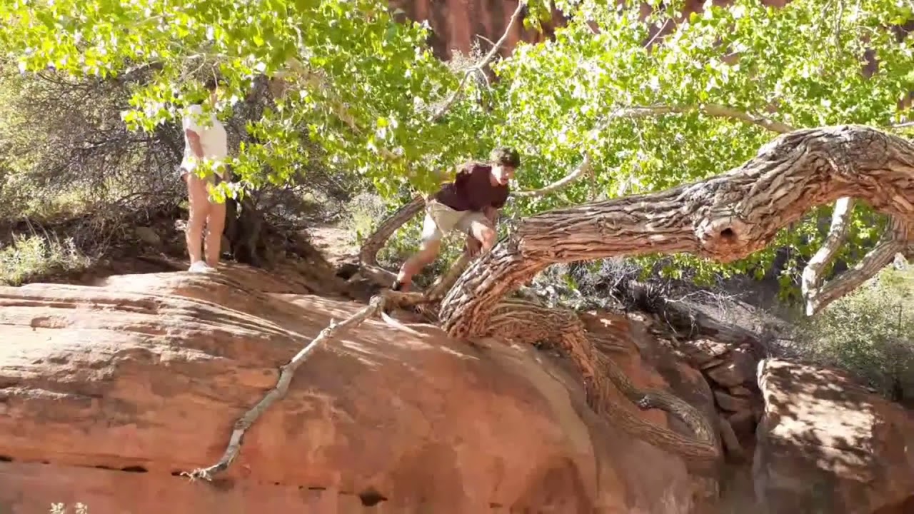 A short hike through Red Cliffs Recreation Area Red Hollow trail