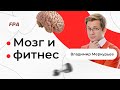 Чем больше мы двигаемся, тем становимся умнее? Мозг и фитнес🧠