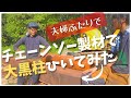 【夫婦で林業】大黒柱を簡易製材機・チェーンソー製材で挽いてみた｜丸太製材｜セルフビルドで家づくりの準備【高知で田舎暮らし】chainsaw mill