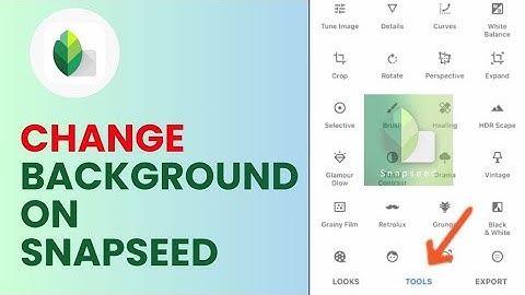 How to Change Background in Snapseed 2024?