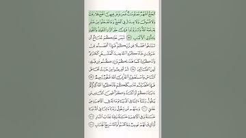 قرآن مجید | سوره بقره | آیه 197 | #قرآن | #بقره | #شلوارک | #اسلام