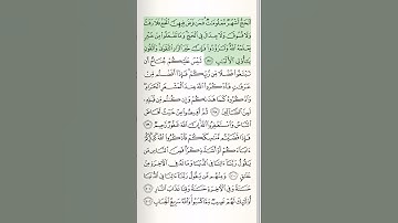 قرآن مجید | سوره بقره | آیه 197 | #قرآن | #بقره | #شلوارک | #اسلام