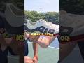 【Vlog】高級スパイクがぶっ壊れて泣く