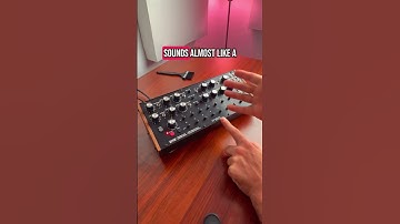Moog DFAM 😮‍💨 #moogdfam #dfam #dawless #moogaudio