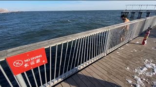Winter Dive, into the ocean