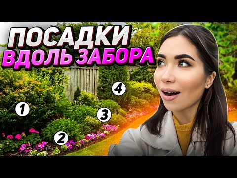 Видео: ⚡️Что посадить ВДОЛЬ ЗАБОРА: ТОП-30 самых НЕПРИХОТЛИВЫХ растений