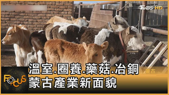 温室.圈养.药菇.冶铜 蒙古产业新面貌｜方念华｜FOCUS全球新闻 20220614 - 天天要闻