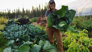 Growing Produce in Alaska Zone 1 | 2026 Garden Season Review