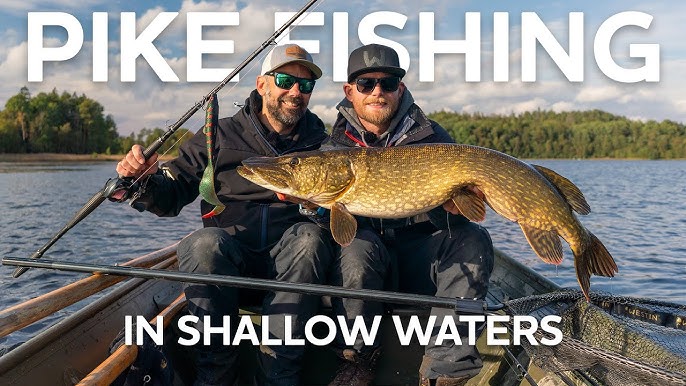 Chasing Pressured Pike  Westin Fishing 