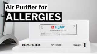 The Best Air Purifier for Allergies