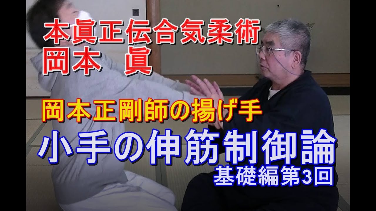 合気柔術チャンネル　技術・理合#040　伸筋制御運動（3）　aiki 　makoto okamoto