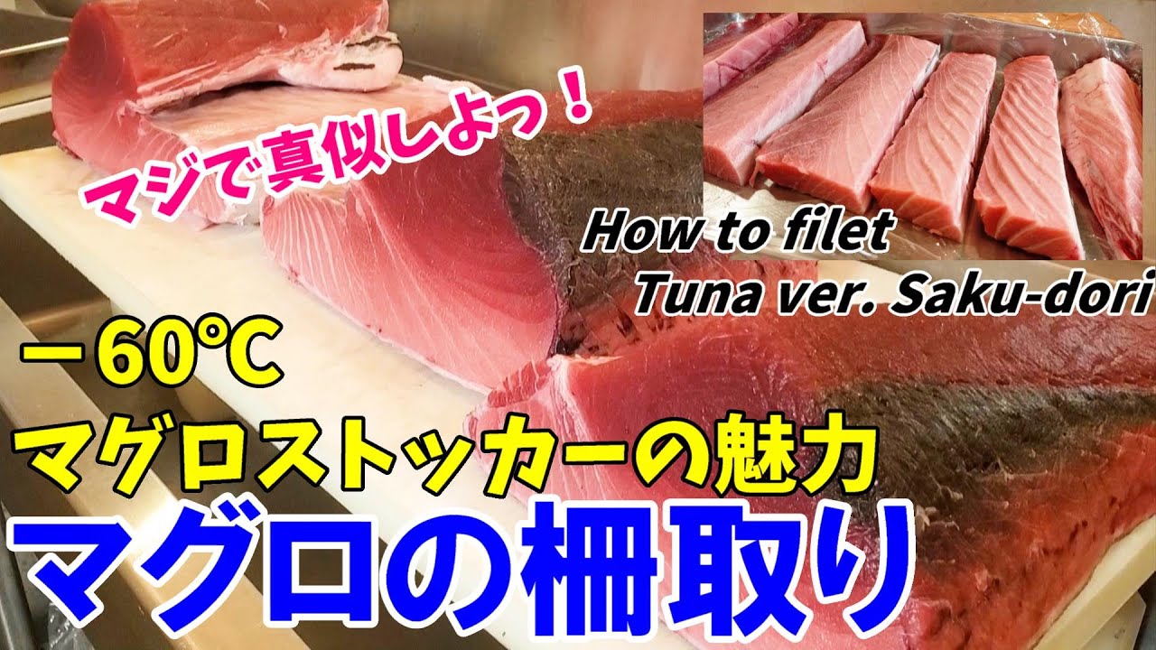 釣っ た マグロ 保存 方法