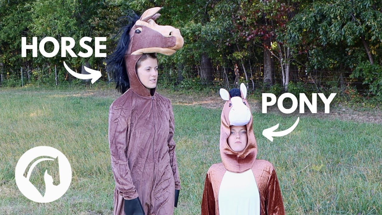 Лошади против пони