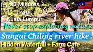 Hiking Sungai Chilling Waterfall: 6 River Crossings & Best Scones in Kuala Kubu Bharu(KKB)