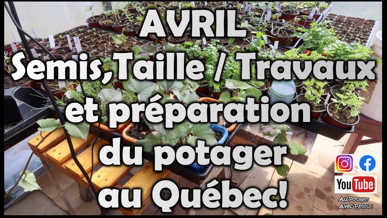 AVRIL - Semis, taille et préparation du potager l Au Québec!