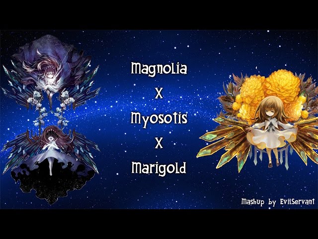 [Mashup] Magnolia x Myosotis x Marigold class=