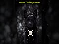 Guess The Dogs name || #dogshorts