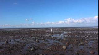 minehead beach