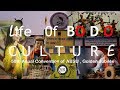 Life of BODO Culture @Golden Jubilee 50th Anual Convention of ABSU | Dhekiajuli