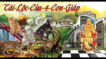 Tóp 4 Con Giáp Giàu Nhất Vào Cuối Năm 2019