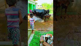 Small Girl Bgff Gyy Bv anaya funny funny