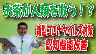 【スーパー】 お茶が新型コロナウイルス対策や認知機能改善に有効？？？茶カテキンとテアニンの作用により注意力・判断力の精度が向上！？ 認知機能対策「伊藤園 お～いお茶 お抹茶」2020年12月7日発売