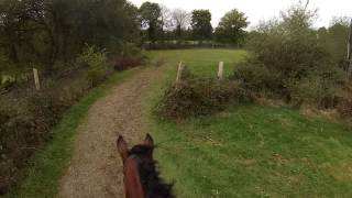 emile et pirate go pro complet domaine des ormes