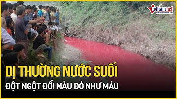 Bình Phước: Dị thường nước suối đột ngột đổi màu đỏ như máu, chính quyền khẩn cấp phong tỏa khu vực