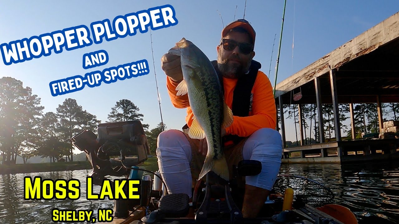 Whopper Plopper Fishing for Aggressive Spots on Moss Lake - Kings Mountain Reservoir - Shelby, NC