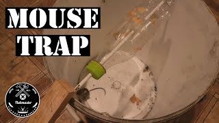 How To Make No Kill Mouse Trap Using Plastic Bottle and Bucket