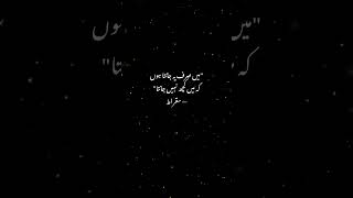 I Know Nothing | Socrates | Urdu Quotes That Make You Think