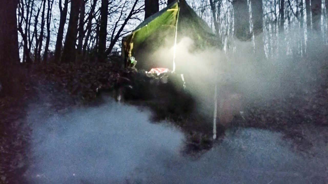 Singur în natură ( tentativă de ,,pescuit '' vulpi )