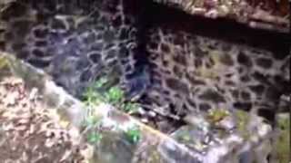 Ancient Lost Treasures Get With The Program