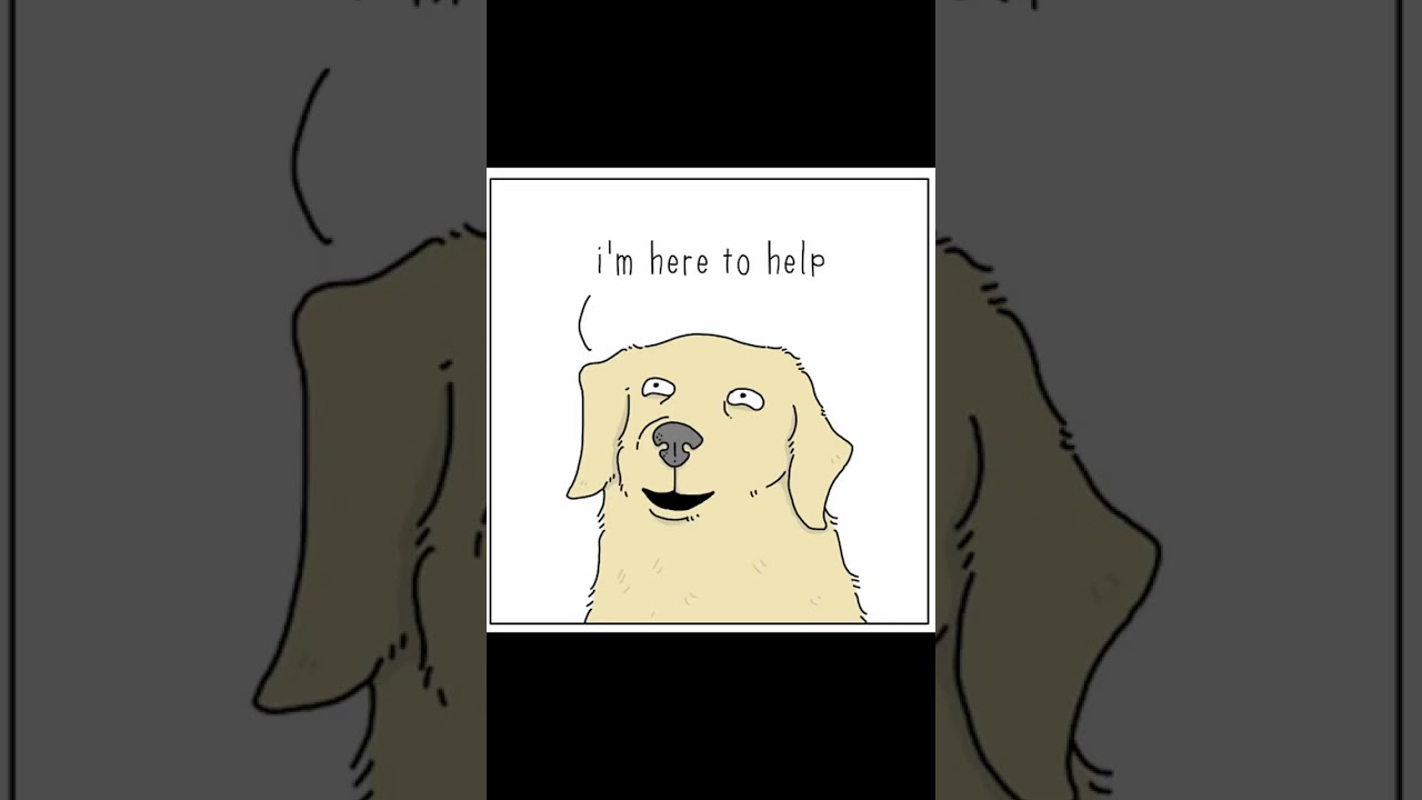 Does Your Dog Help You Cook? 