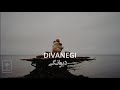 Divanegi دیوانگی Shajarian شجریان 