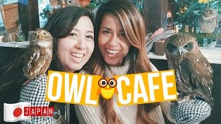 Owl Cafe + Sightseeing in Tokyo | Japan Vlog Day 4