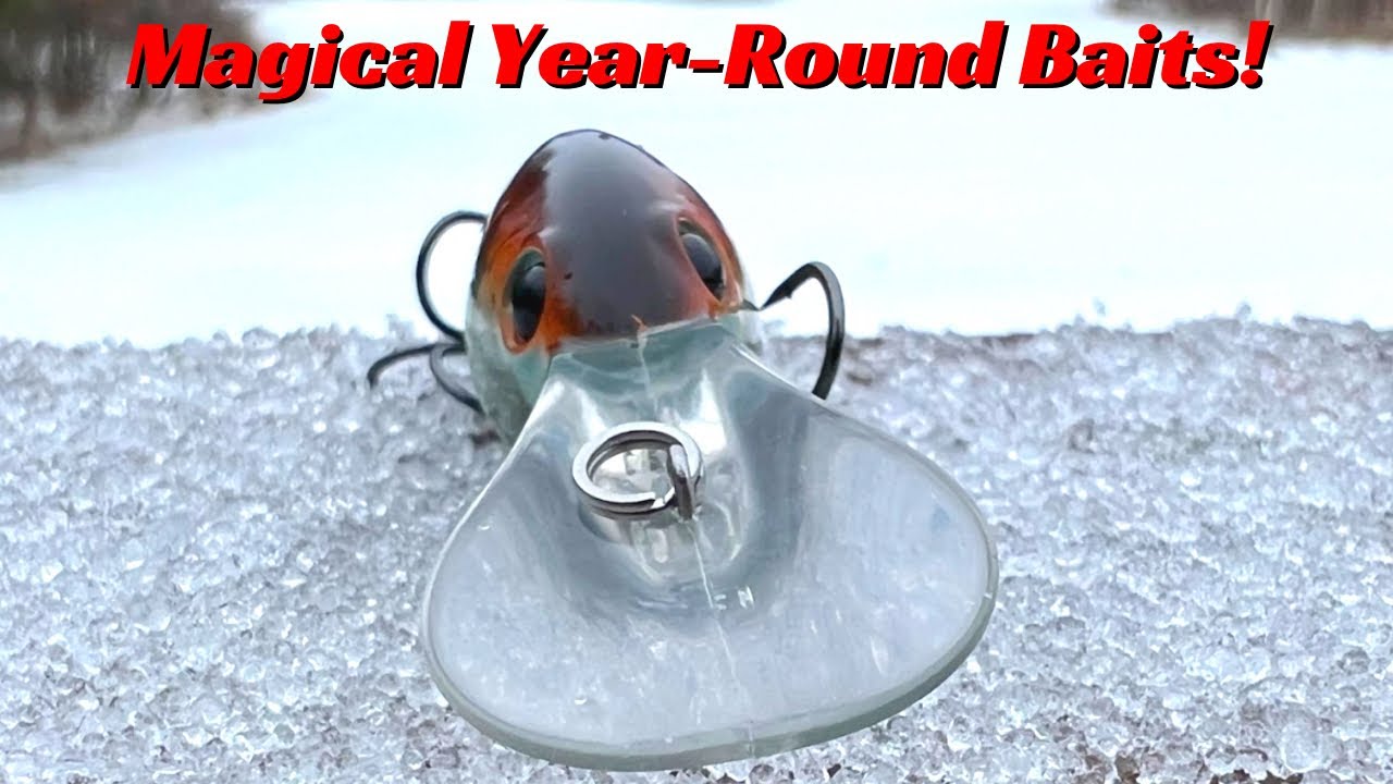 These Are Magical Year Round Baits That Catch Big Bass! 