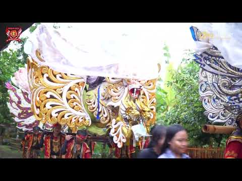 PILIHAN BATIN || WARLAN MUDA || 24 APRIL 2024 || CIAWITALI - PUSAKANEGARA - SUBANG