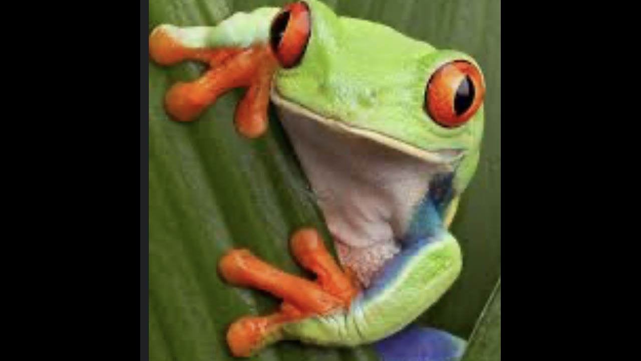 Completing Quests, and doing random things in Fortnite STW! Im sick tho :(