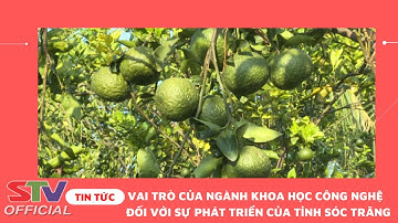 STV - Ngành Khoa học - Công nghệ Sóc Trăng đồng hành cùng sự phát triển của tỉnh