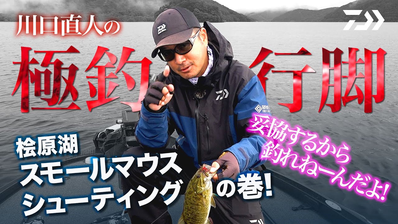 桧原湖 スモールマウスバスのシューティングを紹介 Bassfishingnews