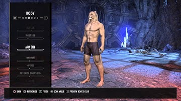 The Elder Scrolls Online: Tamriel Unlimited. Creating my character