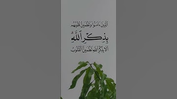 القرآن الكريم راحة نفسية #يارب # اجر لي ولكم #لايك