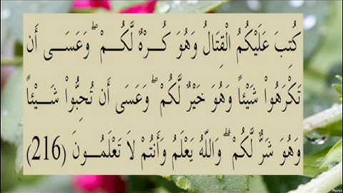 القران الكريم سورة البقرة الاية  216
