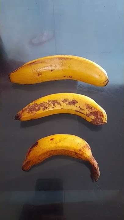 pisang besar sedang kecil warna kuning tandanya masak #shorts #short