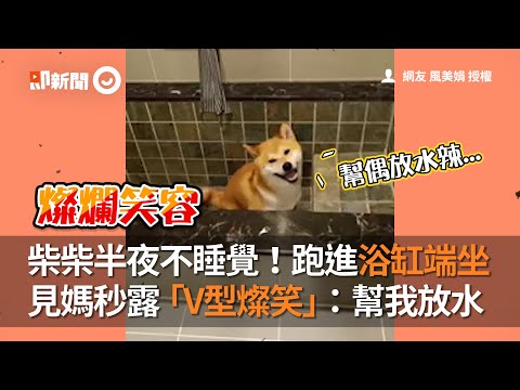 柴犬半夜不睡覺！跑進浴缸端坐，見媽秒露「V型燦笑」｜幫我放水啦｜洗澡澡了