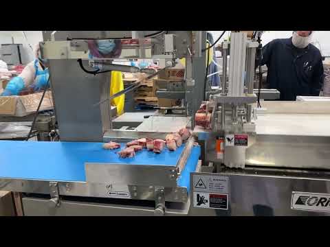 Auto bone saw machine SRS380, ORION-Xp is making demonstration in OR, US slicing beef bones.