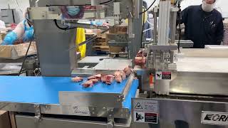 Auto bone saw machine SRS380, ORION-Xp is making demonstration in OR, US slicing beef bones.