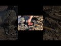 How to Cook Butter T-bone Steak &amp; Chimichurri.