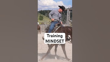 What are you thinking when you RIDE? #chriscoxhorsemanship #totalfeeds #horsetraining